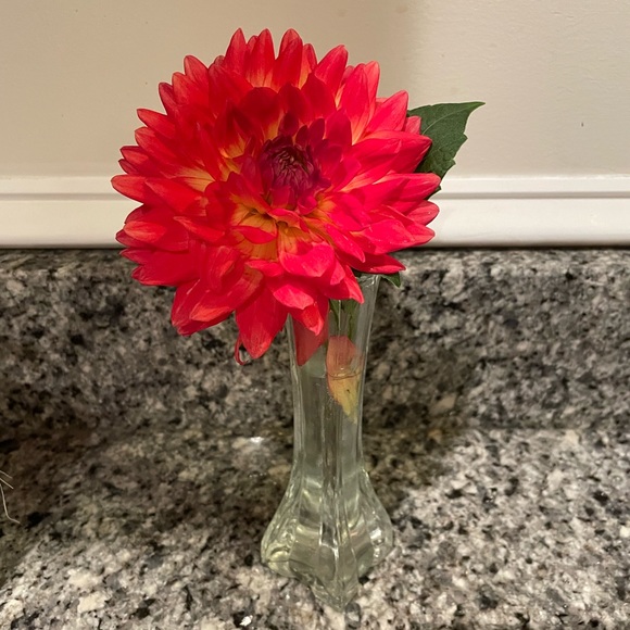 Meet your Posher, Debra - Picture 1 of 1